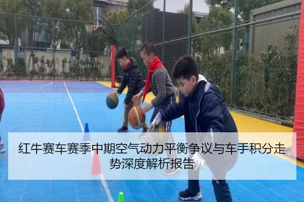 hong-niu-sai-che-sai-ji-zhong-qi-kong-qi-dong-li-ping-heng-zheng-yi-yu-che-shou-ji-fen-zou-shi-shen-du-jie-xi-bao-gao-2-877.jpg