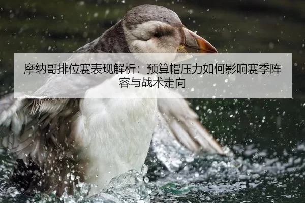 摩纳哥排位赛表现解析：预算帽压力如何影响赛季阵容与战术走向